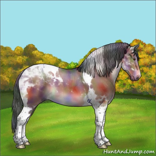 Horse Color:Nacre Bay Roan Tobiano 