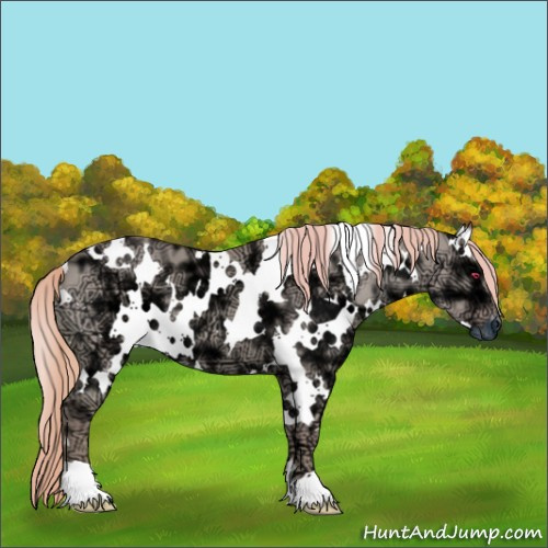 Horse Color:Watercolor White Spotted Liver Red Dun Chinchilla Ice 