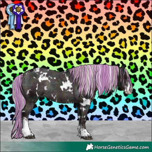 Horse Color:Painted White Spotted Midnight Silver Black Sabino Blanket Rabicano