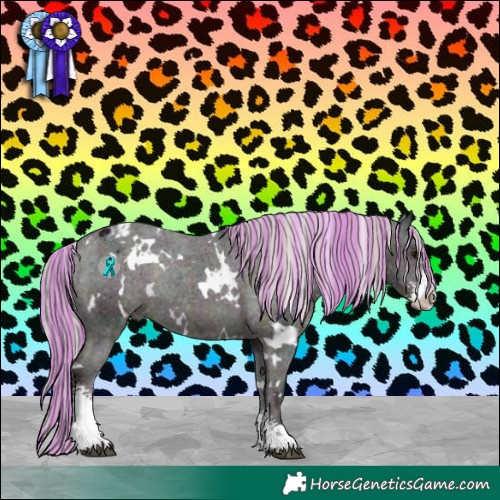 Horse Color:Painted White Spotted Midnight Silver Black Sabino Appaloosa Rabicano 