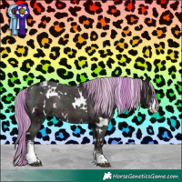 Horse Color:Painted White Spotted Midnight Silver Black Sabino Appaloosa Rabicano 