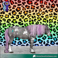 Horse Color:Painted White Spotted Midnight Silver Black Sabino Appaloosa Rabicano