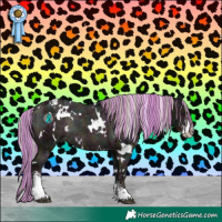 Horse Color:Painted White Spotted Midnight Silver Black Sabino Appaloosa Rabicano 