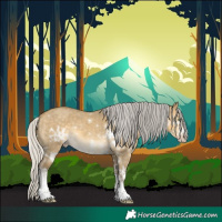 Horse Color:White Spotted Silver Sable Cream Champagne Ice Dun 