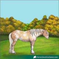 Horse Color:White Spotted Silver Classic Champagne Ice Tobiano 