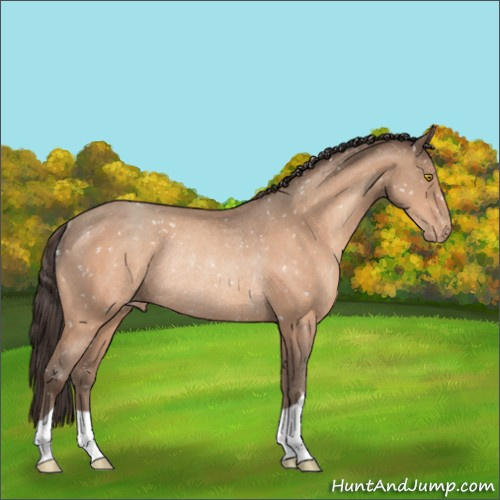 Horse Color:Amber Champagne Appaloosa Rabicano 