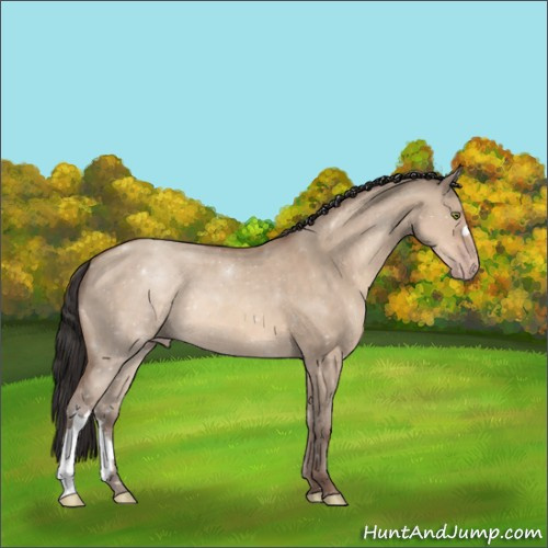 Horse Color:Sable Champagne Dun 