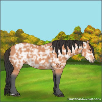 Horse Color:Bay Ice 