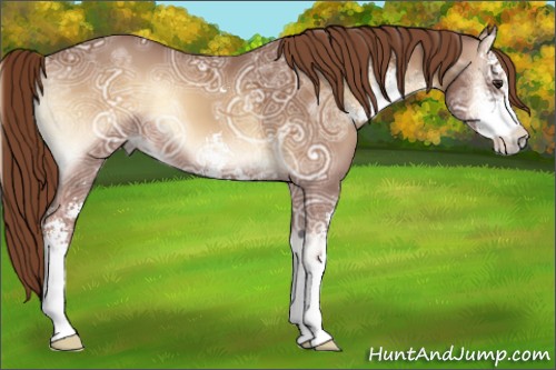 Horse Color:Red Onyx Ice Sabino 