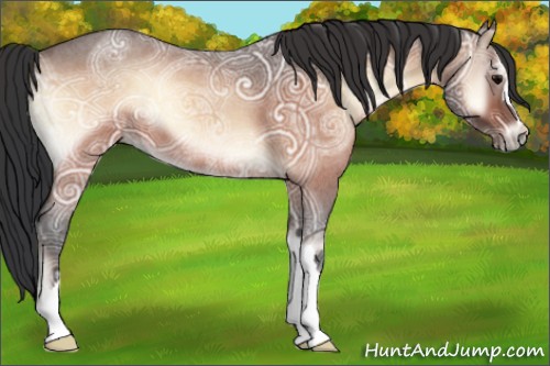Horse Color:Bay Ice Roan Onyx 