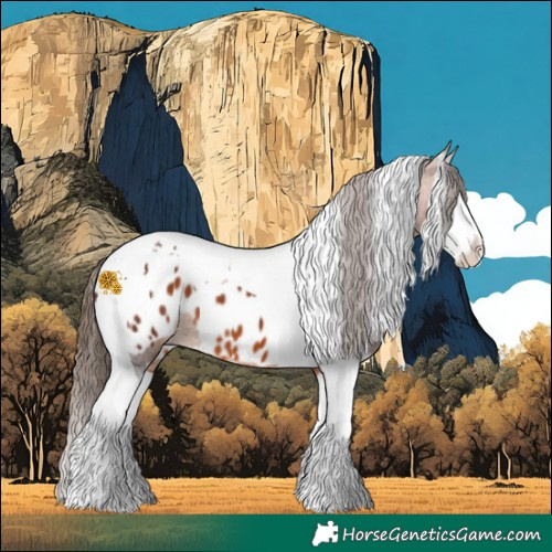 Horse Color:Bay Splash Tobiano Appaloosa 