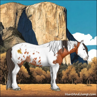Horse Color:Bay Splash Tobiano Appaloosa