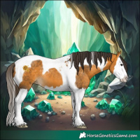 Horse Color:Buckskin Splash Tobiano 