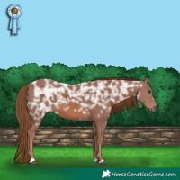 Horse Color:Chestnut Ice 
