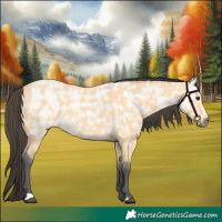 Horse Color:Buckskin Ice 