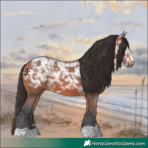 Horse Color:Bay Ice 