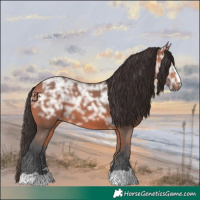 Horse Color:Bay Ice 
