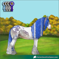Horse Color:Watercolor White Spotted Brown Onyx Splash Tobiano 