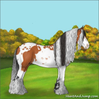 Horse Color:Bay Splash Tobiano