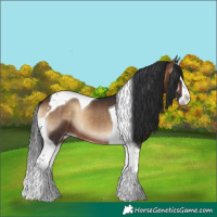 Horse Color:Brown Onyx Splash Tobiano 