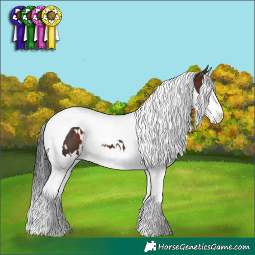 Horse Color:White Spotted Brown Splash Tobiano 