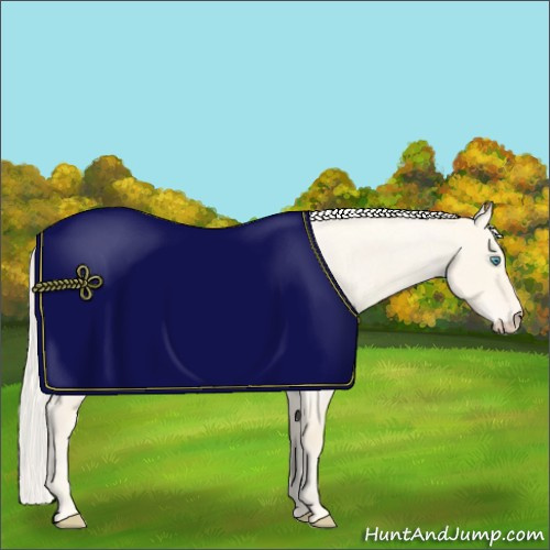 Horse Color:Cremello Roan Dun 