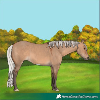 Horse Color:Silver Brown Dun 