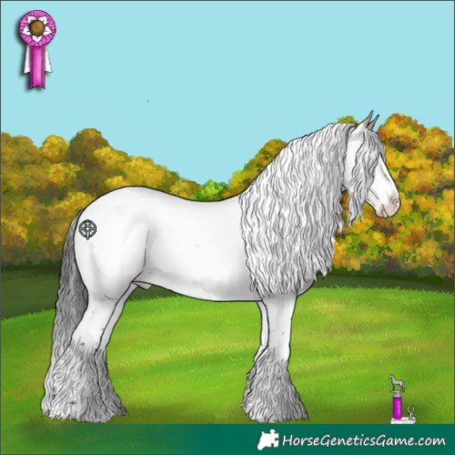 Horse Color:Bay Roan Dun Splash Rabicano 