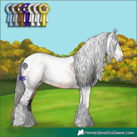 Horse Color:Gray Bay Roan Tobiano Rabicano