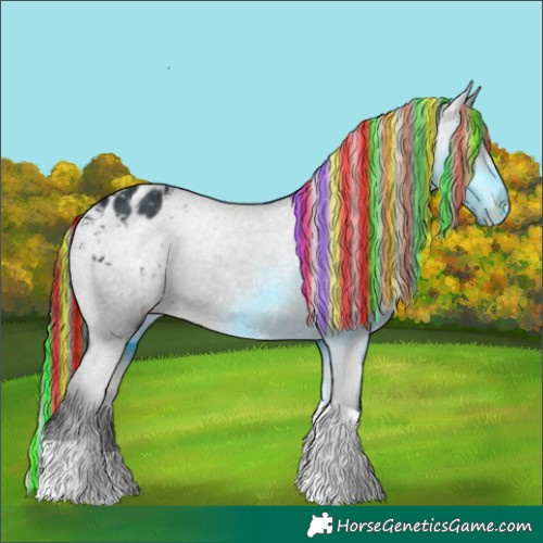Horse Color:Painted Black Tobiano Appaloosa 