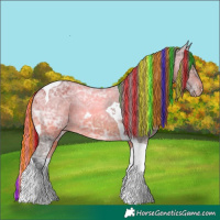 Horse Color:Painted Brown Ice Tobiano Blanket 