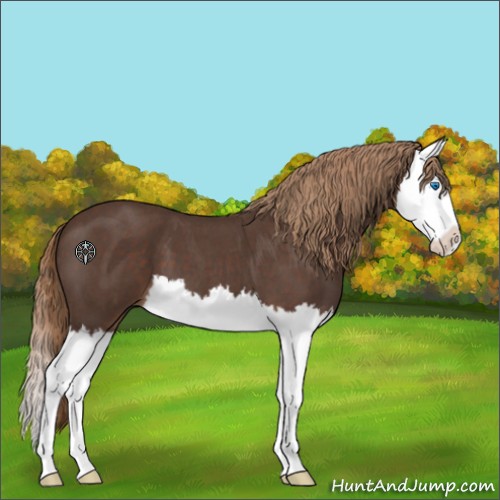 Horse Color:Liver Red Roan Splash 