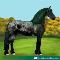 Horse Color:ERROR: UNKNOWN ANOMALY