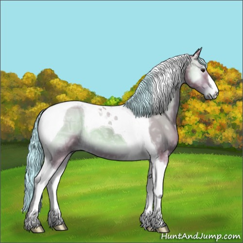 Horse Color:Watercolor Red Onyx Ice Tobiano