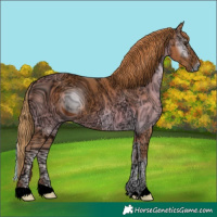 Horse Color:ERROR: UNKNOWN ANOMALY