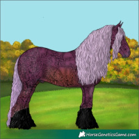 Horse Color:Watercolor Chestnut Ice 