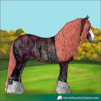 Horse Color:Watercolor Red Onyx Ice 