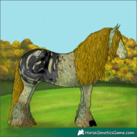 Horse Color:ERROR: UNKNOWN ANOMALY