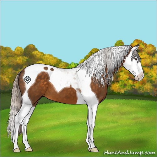 Horse Color:Silver Buckskin Splash Tobiano 