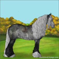 Horse Color:Silver Brown Chinchilla Ice