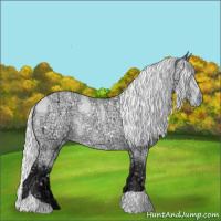 Horse Color:Silver Buckskin Chinchilla Ice Appaloosa Rabicano