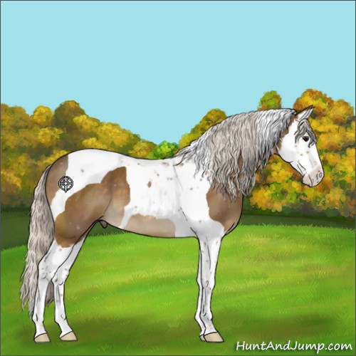 Horse Color:Silver Smoky Black Splash Tobiano 