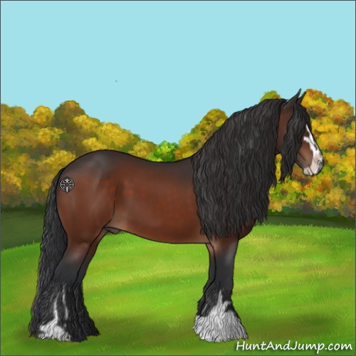 Horse Color:Brown Sabino 