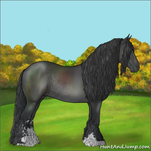 Horse Color:Black Sabino Rabicano 