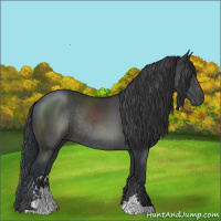 Horse Color:Black Sabino Rabicano