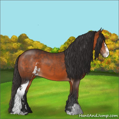 Horse Color:Bay Sabino
