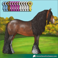 Horse Color:Bay Sabino 