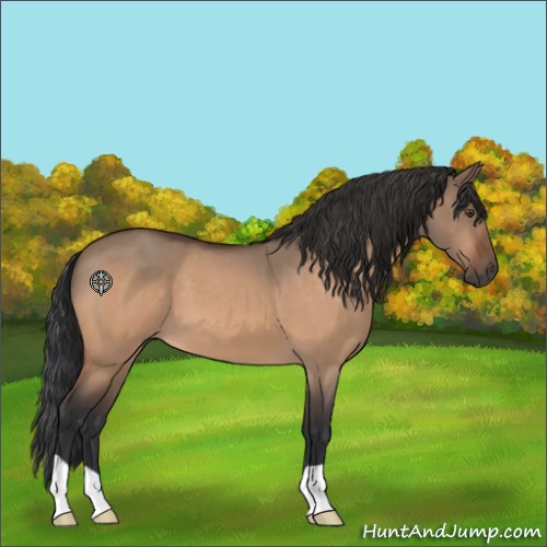 Horse Color:Brown Roan Dun 