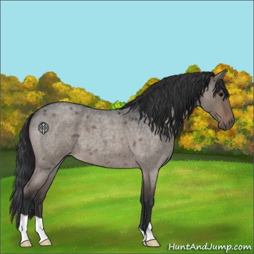 Horse Color:Brown Roan Dun 