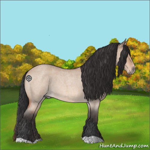Horse Color:Bay Roan Dun 